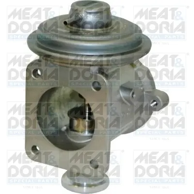 AGR-Клапан MEAT & DORIA        