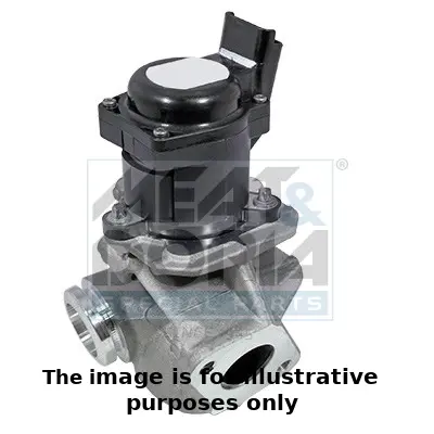 AGR-Клапан MEAT & DORIA        