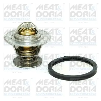 термостат, охладителна течност MEAT & DORIA        