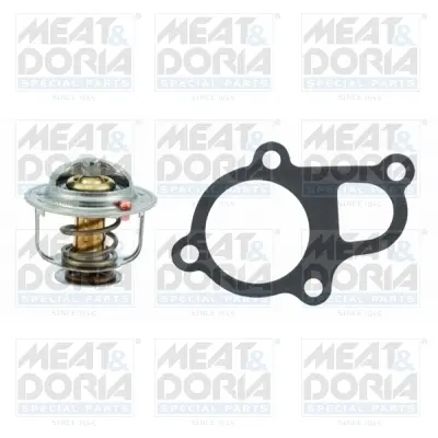 термостат, охладителна течност MEAT & DORIA        