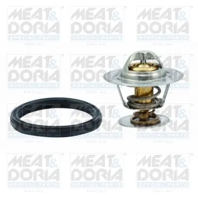 термостат, охладителна течност MEAT & DORIA        