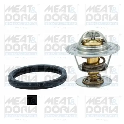 термостат, охладителна течност MEAT & DORIA        