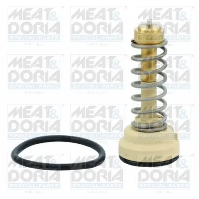 термостат, охладителна течност MEAT & DORIA        