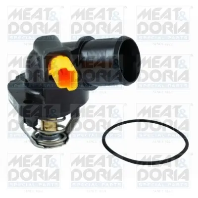 термостат, охладителна течност MEAT & DORIA        