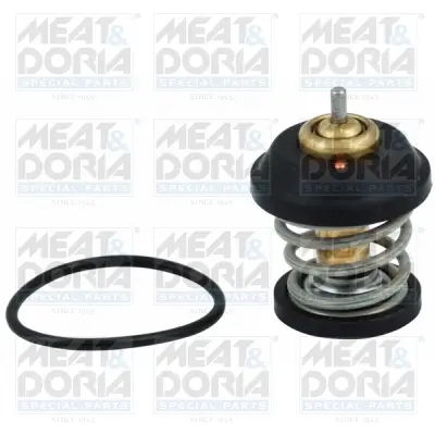 термостат, охладителна течност MEAT & DORIA        