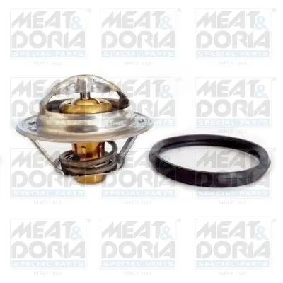 термостат, охладителна течност MEAT & DORIA        