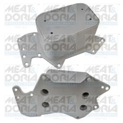 маслен радиатор, двигателно масло MEAT & DORIA        