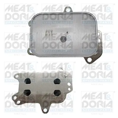 маслен радиатор, двигателно масло MEAT & DORIA        