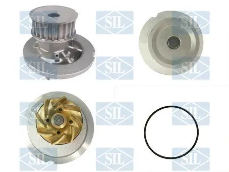 водна помпа, охлаждане на двигателя Saleri SIL          