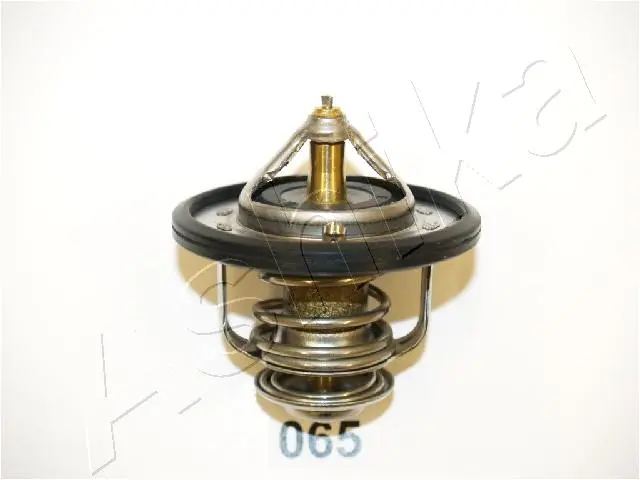 термостат, охладителна течност ASHIKA              