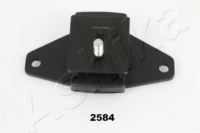 окачване, двигател ASHIKA              