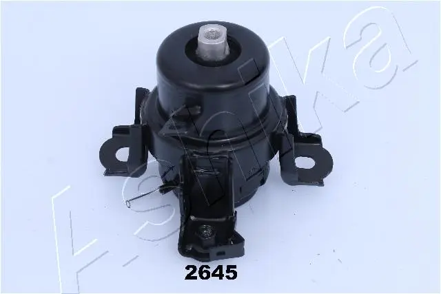 окачване, двигател ASHIKA              