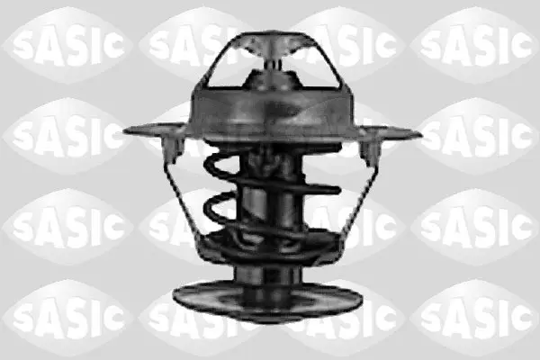 термостат, охладителна течност SASIC               