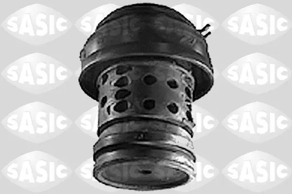 окачване, двигател SASIC               