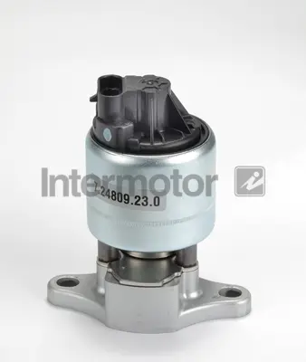 AGR-Клапан INTERMOTOR          