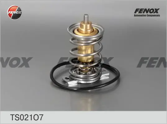 Термостат, охладителна течност FENOX