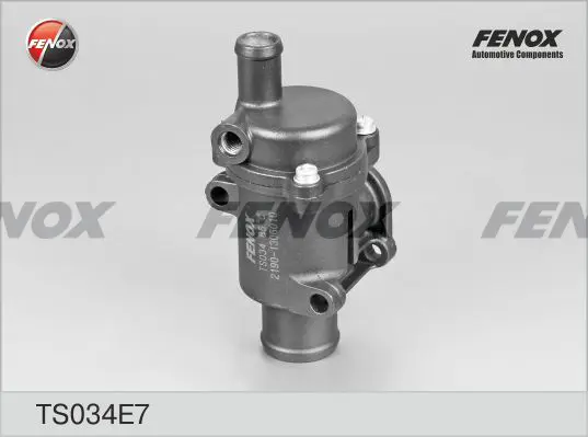 Термостат, охладителна течност FENOX