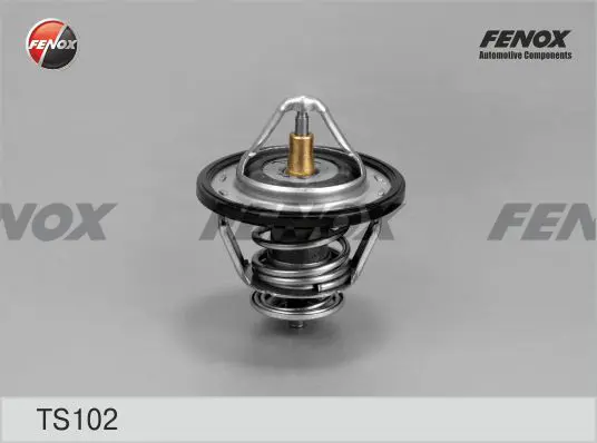 Термостат, охладителна течност FENOX