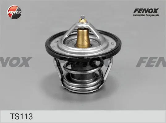Термостат, охладителна течност FENOX