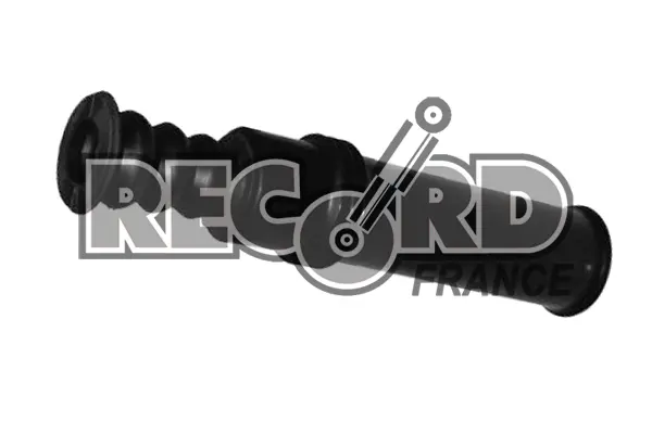 7815842prod