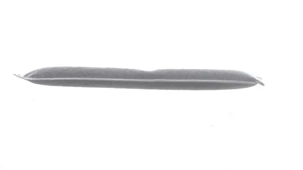 Изсушител, климатизация MAHLE