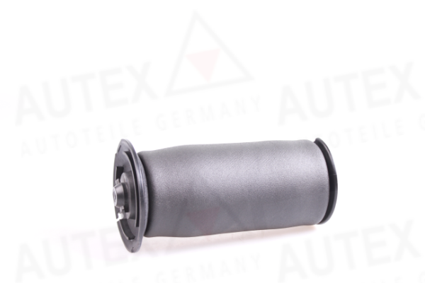 Въздушна възглавница, окачване AUTEX               