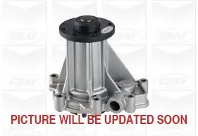 водна помпа, охлаждане на двигателя GRAF                