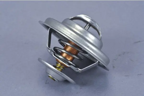 термостат, охладителна течност AUTOMEGA            