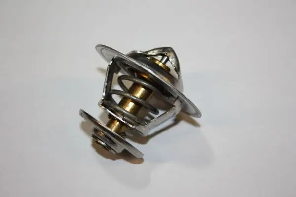 термостат, охладителна течност AUTOMEGA            