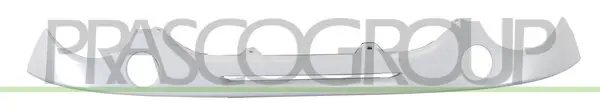 бленда, решетка на радиатора PRASCO              