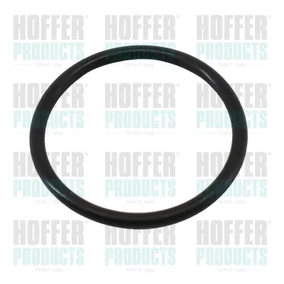 Уплътнение, термостат HOFFER