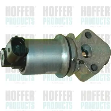 AGR-Клапан HOFFER              