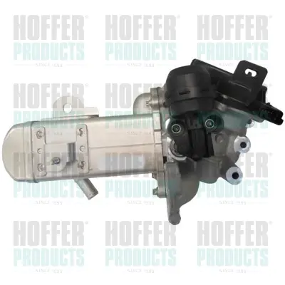 AGR-Клапан HOFFER              