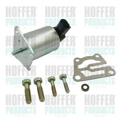 AGR-Клапан HOFFER              
