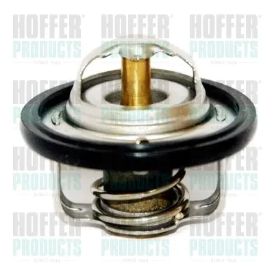 термостат, охладителна течност HOFFER              