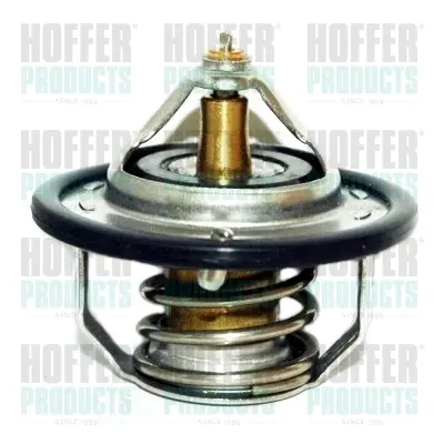 термостат, охладителна течност HOFFER              