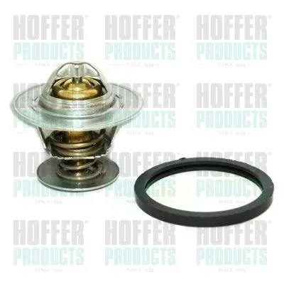 термостат, охладителна течност HOFFER              