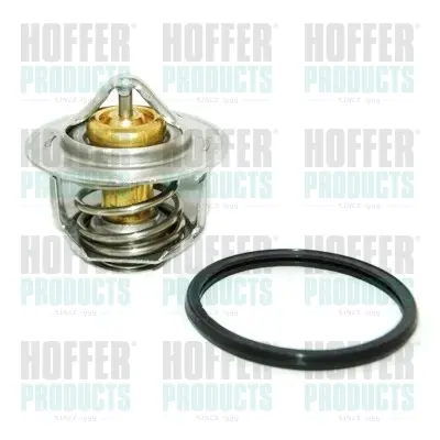 термостат, охладителна течност HOFFER              