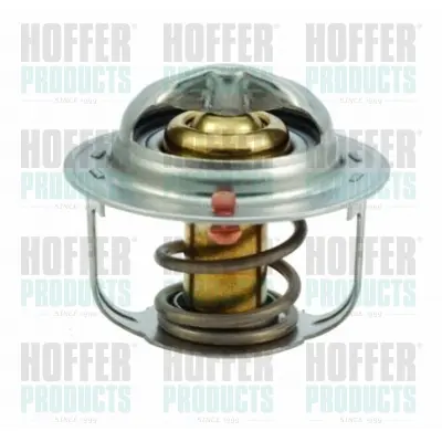 термостат, охладителна течност HOFFER              