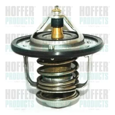 термостат, охладителна течност HOFFER              