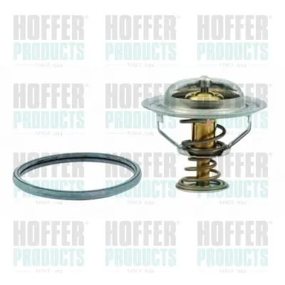 термостат, охладителна течност HOFFER              