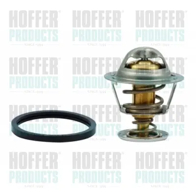 термостат, охладителна течност HOFFER              