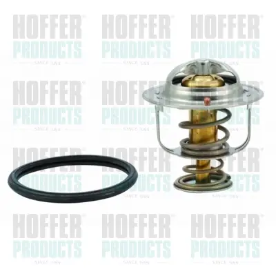 термостат, охладителна течност HOFFER              