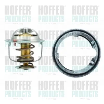 термостат, охладителна течност HOFFER              