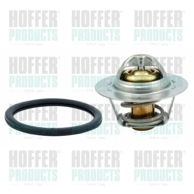 термостат, охладителна течност HOFFER              