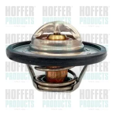 Термостат, охладителна течност HOFFER