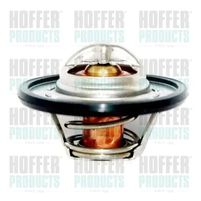 Термостат, охладителна течност HOFFER