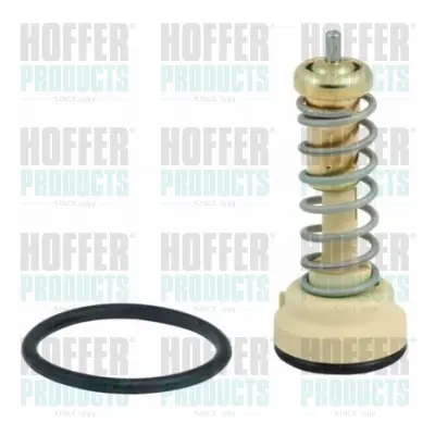 термостат, охладителна течност HOFFER              