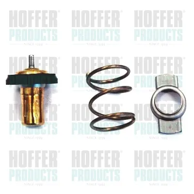 термостат, охладителна течност HOFFER              