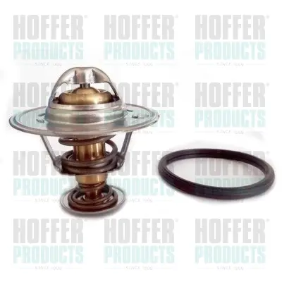 термостат, охладителна течност HOFFER              